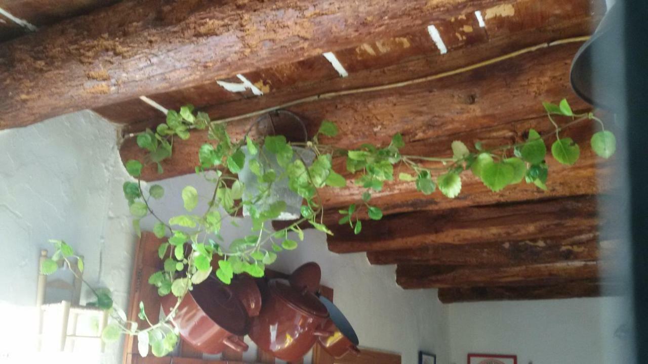 Гостевой дом La Casa De La Acequia Серон Экстерьер фото